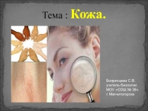 Презентация по биологии для 8 класса по теме Кожа