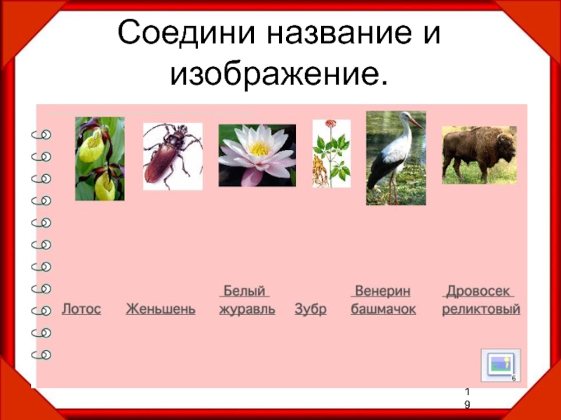 Проект на тему красная книга 7 класс по биологии