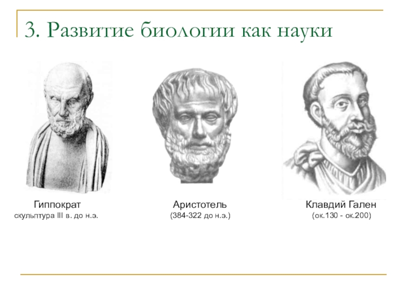 Аристотель гален. Аристотель Гиппократ Гален. Гераклит, Аристотель Гиппократ,. Гиппократ Платон Аристотель. Гиппократ Аристотель Теофраст.