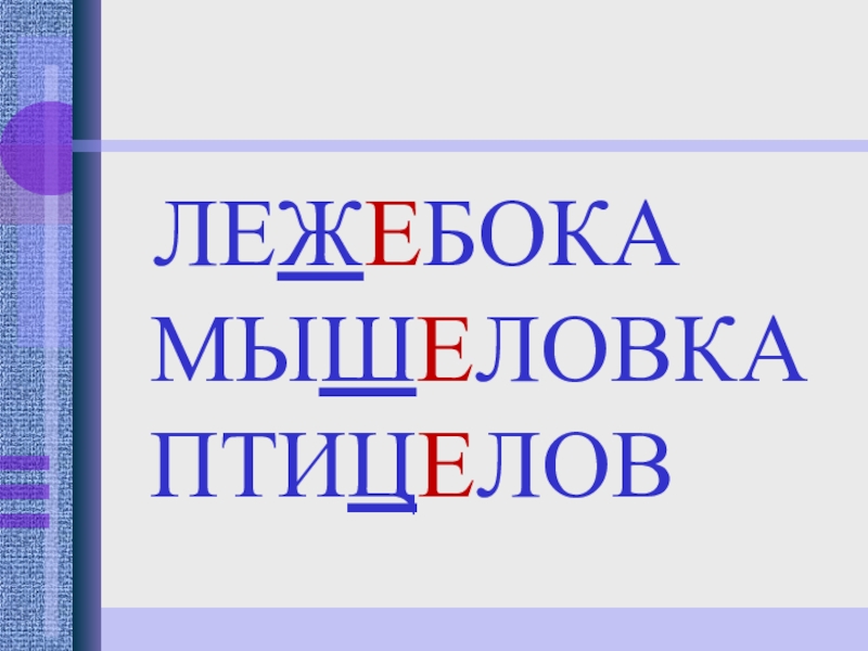 птицелов сложное слово