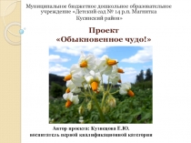 Презентация проекта для детей подготовительной группы по формированию экологической культуры и трудового воспитания