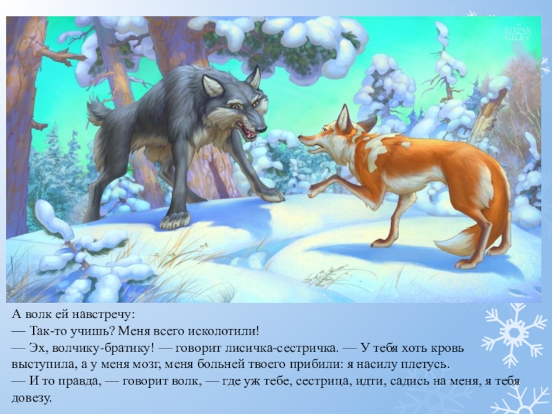 А волк ей навстречу:— Так-то учишь? Меня всего исколотили!— Эх, волчику-братику! — говорит лисичка-сестричка. — У тебя