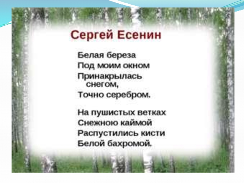 Есенин белое стихотворение. Стихотворение Есенина белая береза. Есенин береза текст стихотворения. Есенин берёза стих. Стихотворение белая бер.