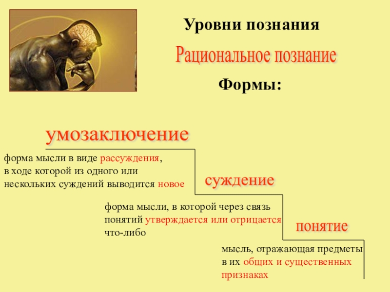 Уровни п. Уровни ступени познания. Последовательность уровней познания. Степени чувственного познания. Чувственная и рациональная ступени познания.