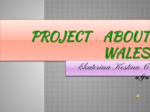 Презентация на английском языке Уэльс