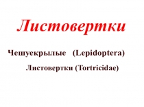 Презентация к предмету Охрана и защита леса