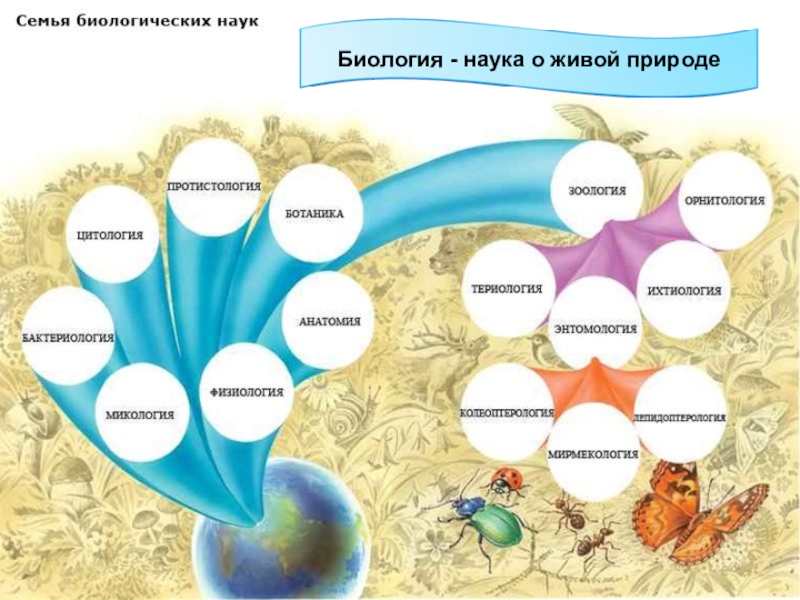 Проект по естествознанию 10 класс темы