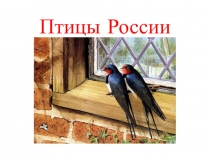 Презентация к занятию в городском летнем лагере Птицы России