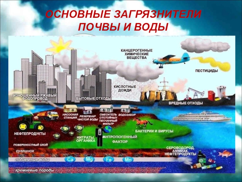 Экологические проблемы воронежской области презентация