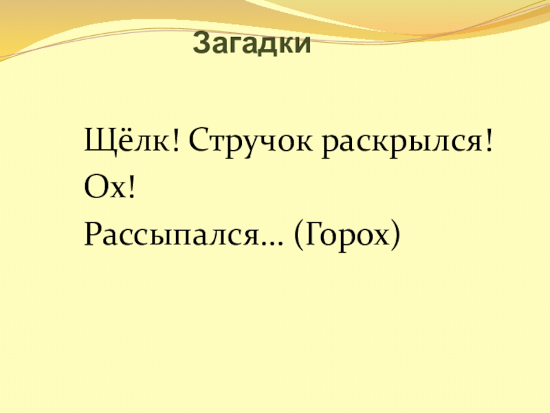 Загадки      Щёлк! Стручок раскрылся!   Ох!   Рассыпался… (Горох)