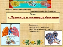 Презентация по биологии на тему: Газообмен в легких и тканях( 8 акласс)