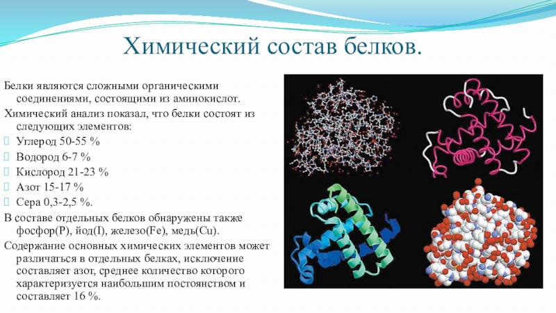 Из каких органических соединений состоят белки