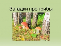 Презентация по ознакомлению с окружающим миром на тему Загадки про грибы.