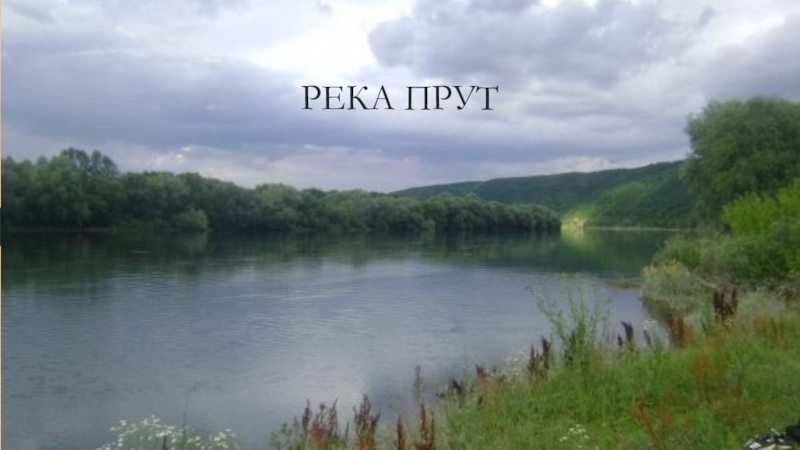 Pret moldova. Река прут в Молдове. Прут река в Молдавии. Река Молдова в Румынии. Прут (река) реки Румынии.