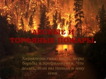 Презентация по ОБЖ на тему Лесные и торфяные пожары (7 класс)