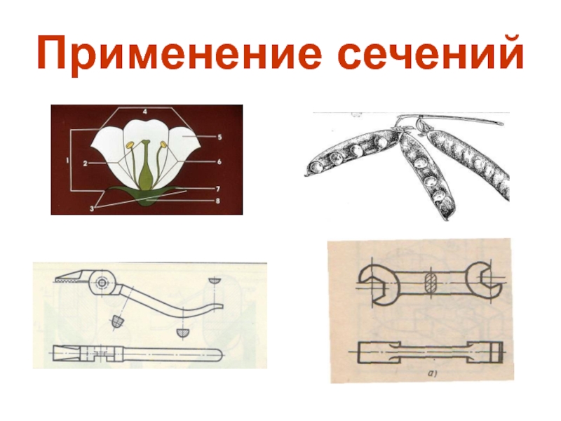 Изображение фигуры получающейся при мысленном рассечении предмета одной или несколькими плоскостями