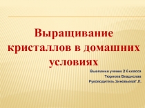 Презентация проекта Выращивание кристаллов в домашних условиях (2 класс)