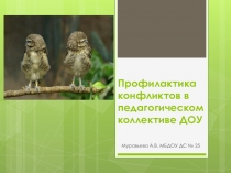 Презентация Профилактика конфликтов в педагогическом коллективе ДОУ