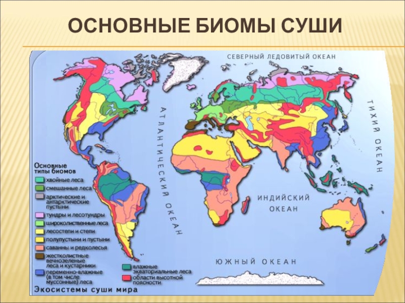 Различные зоны. Карта биомов земли. Основные типы биомов суши. Биогеографическая область биомы суши таблица. Основные зональные типы биомов суши.