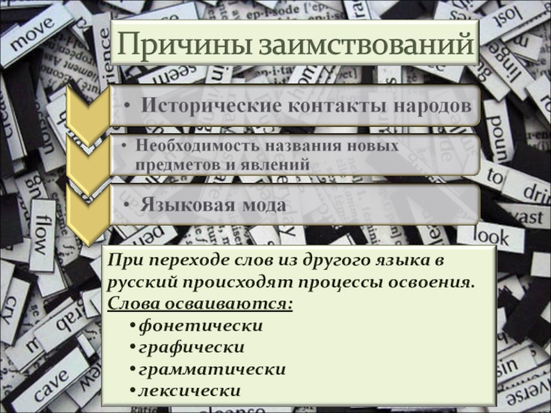 Русизмы в языках народов россии и в иностранных языках проект 6 класс