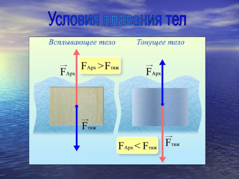 Проект по физике 7 класс закон архимеда плавание тел