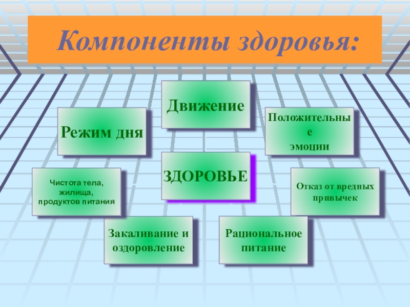 Картинки компоненты здоровья