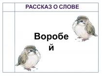 Презентация по русскому языку на тему Рассказ о слове воробей