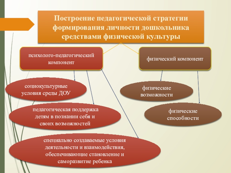 Воспитание личности в культуре. Условия формирования личности у дошкольников. Становление личности дошкольника. Педагогические условия формирования физической культуры личности. Условия развития личности дошкольника.