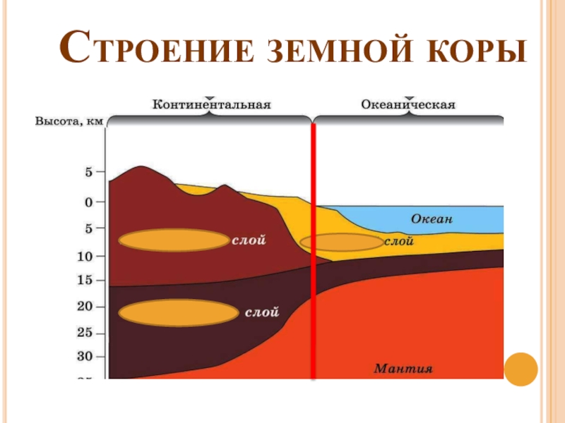 Строение земной коры расставьте подписи на изображении