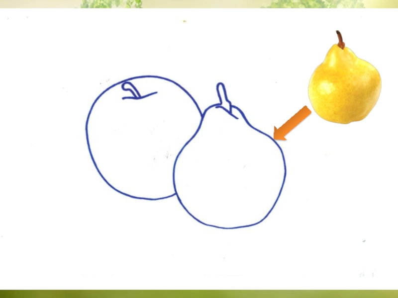 Презентация натюрморт поэтапно 3 класс. Рисование фруктов. Поэтапное рисование натюрморта для детей. Поэтапное рисование фруктов. Поэтапное рисование овощей.