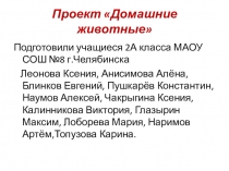 Коллективный проект 2а класса МАОУ СОШ №8 Домашние животные руководитель Александрович О.Н.