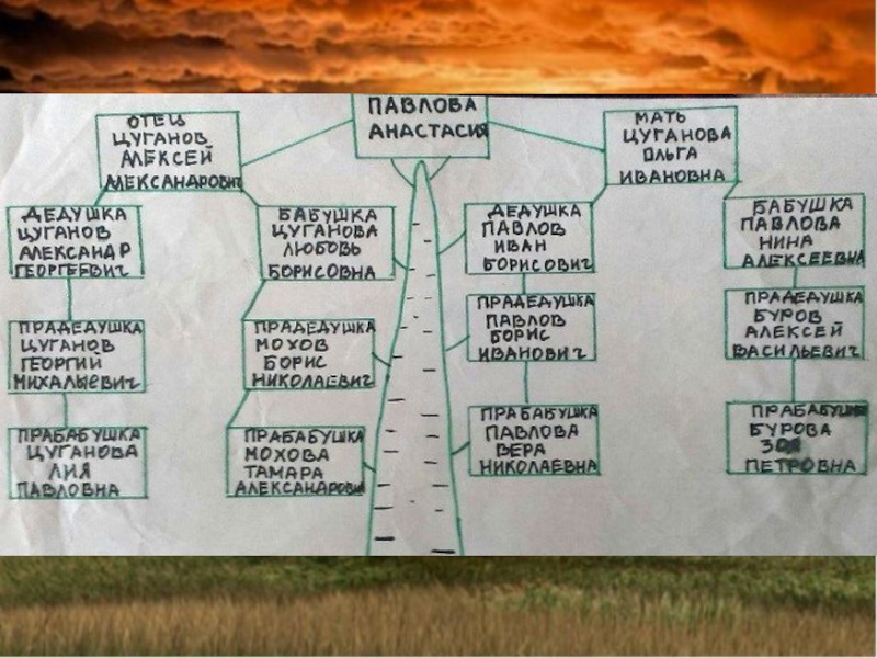 Моя родословная проект 3 класс окружающий мир