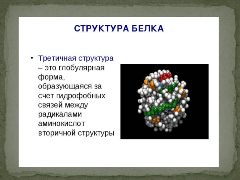 Презентация на тему белки по химии