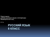 Презентация по русскому языку Имя существительное. Повторение и обобщение 8 класс