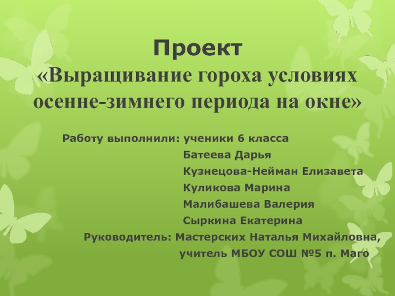 Презентация выращивание гороха в домашних условиях