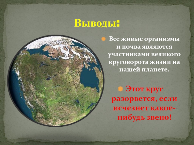 Презентация круговорот жизни. Информация о Великом круговороте жизни. Как живые организмы изменяют нашу планету. Круговорот в природе что будет если исчезнут растения. Что произойдет если исчезнет почва.