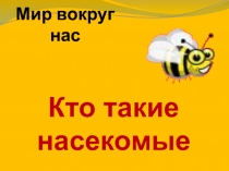 Презентация по окружающему миру на тему Кто такие насекомые (1 класс)