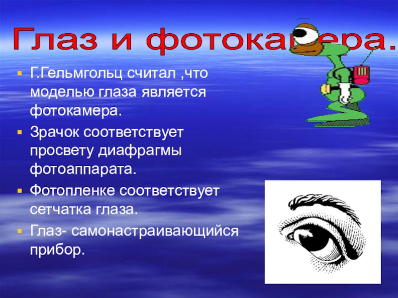 Тест по биологии зрение. Глазок это в биологии. Слова Гельмгольца о глазах. Работа глаза.