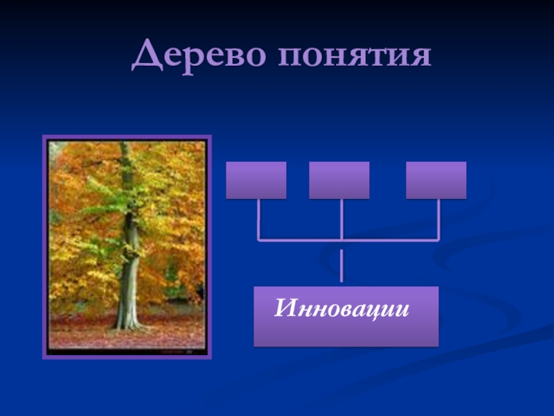 Понятие дерево. Дерево понятий. Дерево терминов. Составление дерева понятий. Концепция дерева.