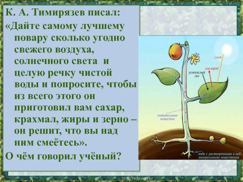 К. А. Тимирязев писал: «Дайте самому лучшему повару сколько угодно свежего воздуха, солнечного света и целую речку