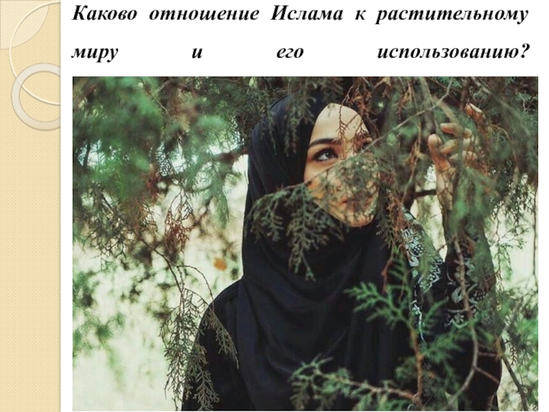 Грустные мусульманские. Девушка в хиджабе на природе. Мусульманка в лесу. Грустная мусульманка. Девушка в хиджабе в лесу.