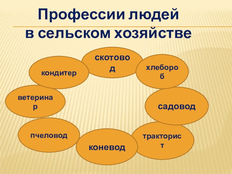 Профессии сельского хозяйства. Сельскохозяйственные профессии. Профессии в сельском хоз. Сельское хозяйство профе. Профессии относящиеся к сельскому хозяйству.