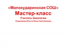 Мастер - класс Зеркало инновационных преобразований