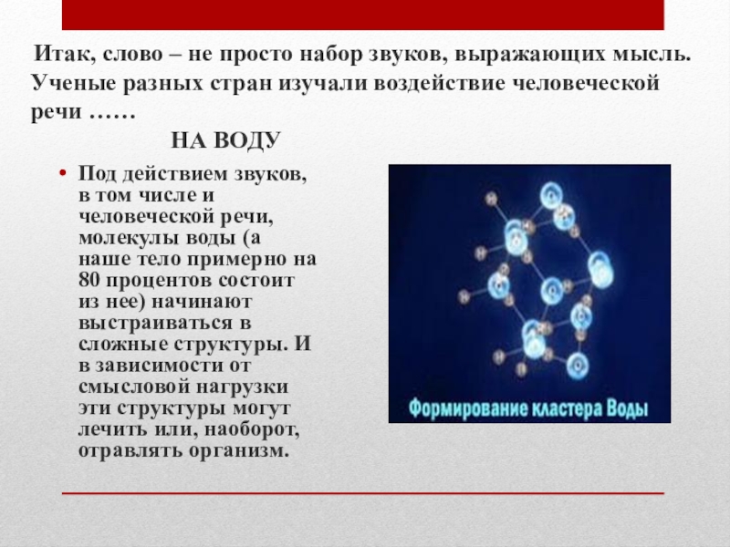 Тихая сила ядов проект