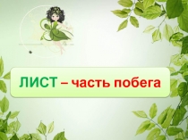 Презентация по биологии на тему Лист - часть побега