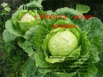 Презентация к детской исследовательской работе Капуста -всему голова
