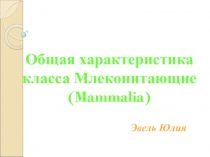 Презентация по биологии 7класс на тему Общая характеристика представителей класса млекопитающих