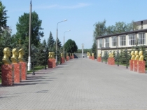 Презентация - приложение к практико ориентированному проекту Есть такая профессия Родину защищать