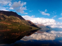 Презентация к внеклассному мероприятию Let's protect the nature