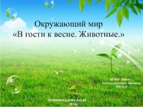 Презентация к уроку в коррекционной школе  Окружающий мир 4 класс